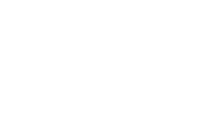 Remigration Airways